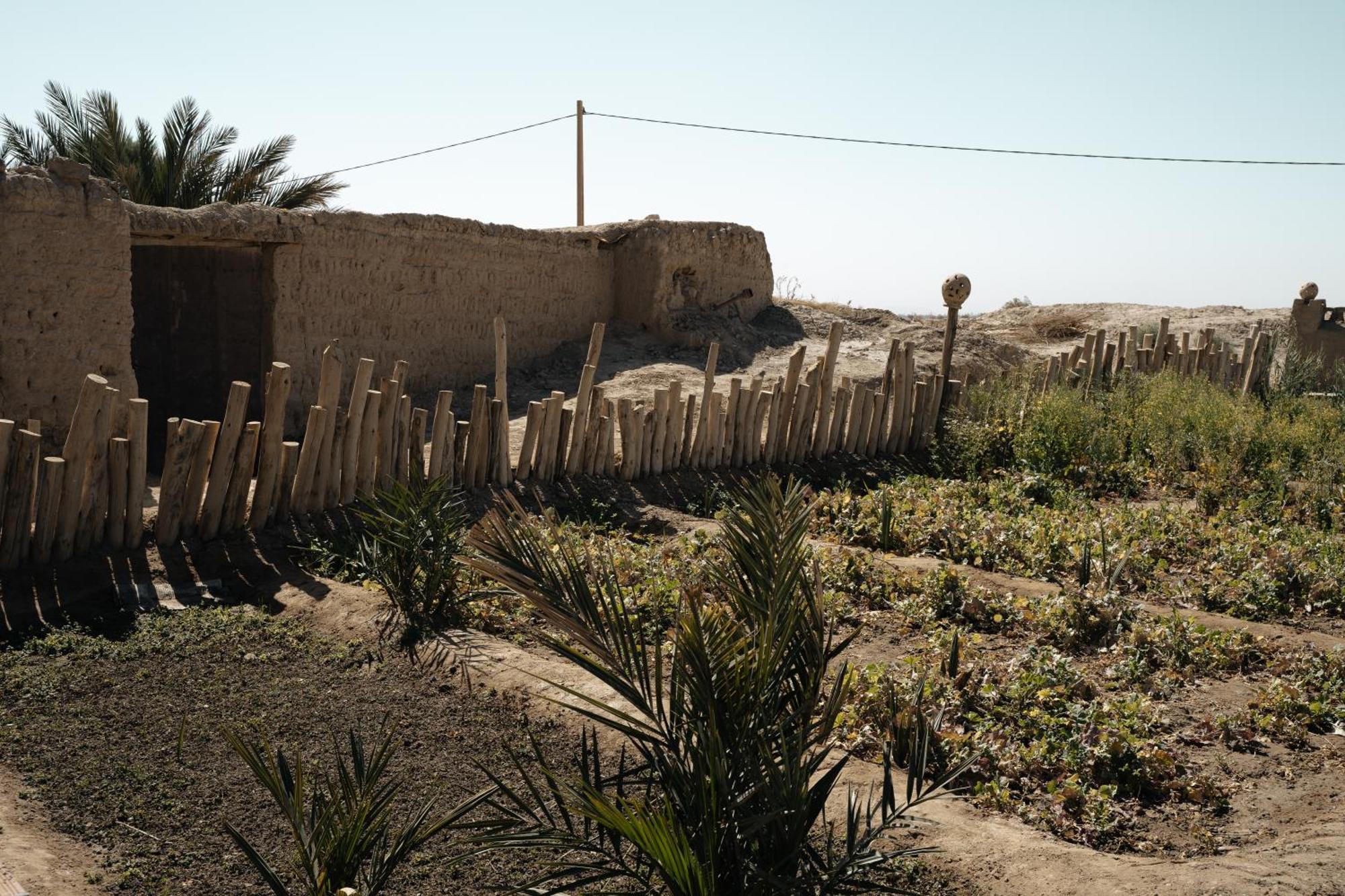 Dar Haroun Hotel Rissani Exterior photo